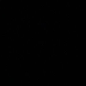 Meet your Posher, Kailee